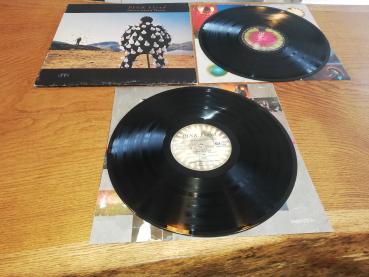 Pink Floyd - Delicate Sound of Thunder 1988 EMI 1987914801 Doppel-LP Europäische Pressung VG/VG